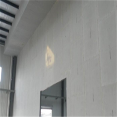 永寿宁波ALC板|EPS加气板隔墙与混凝土整浇联接的实验研讨